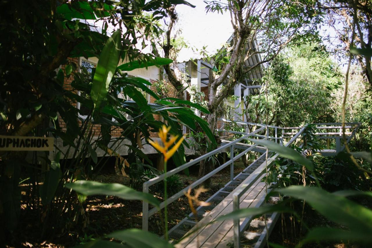 Aum Hum Homestay Fang Eksteriør bilde