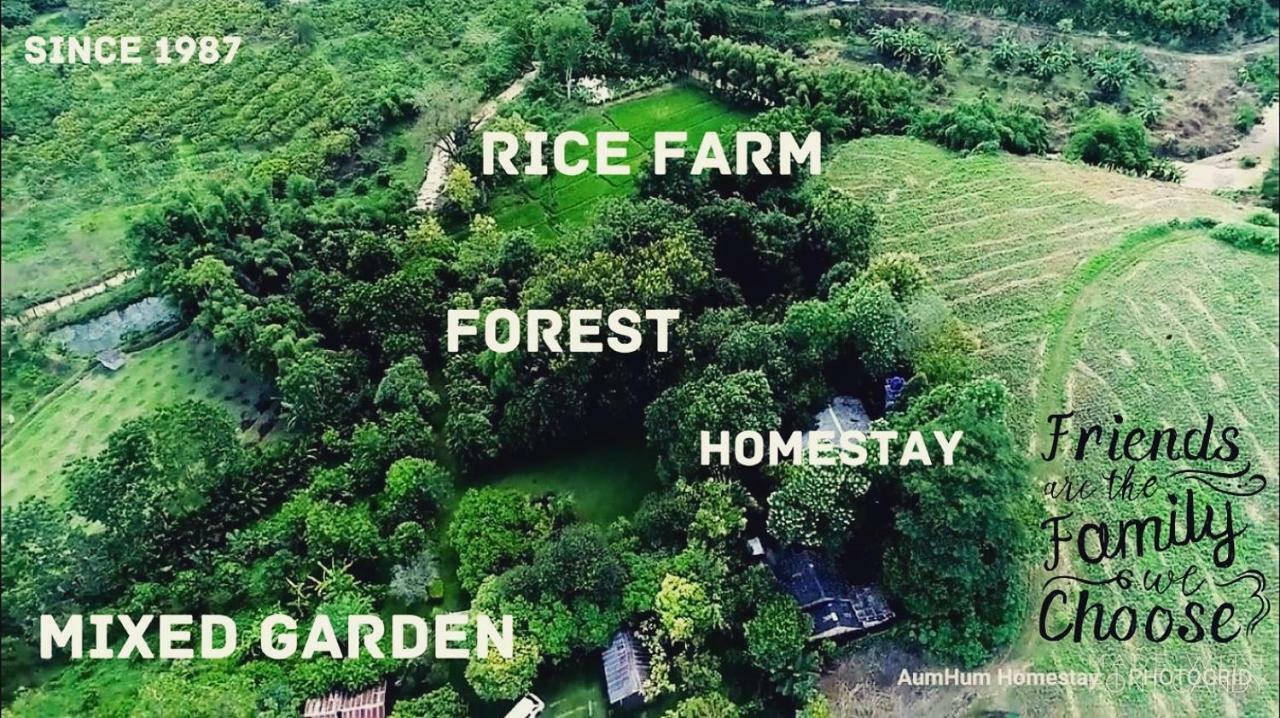 Aum Hum Homestay Fang Eksteriør bilde